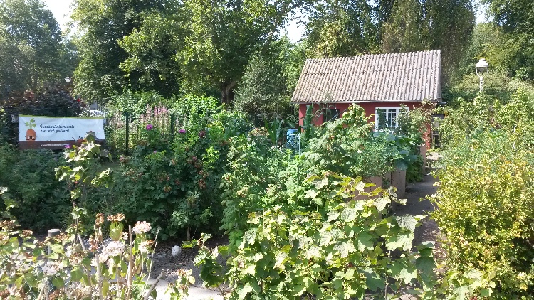 Schulgarten mit Hochbeeten, Gemüseacker und Gartenhaus